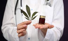 Medical Cannabis 101: Your Complete Beginner’s Guide