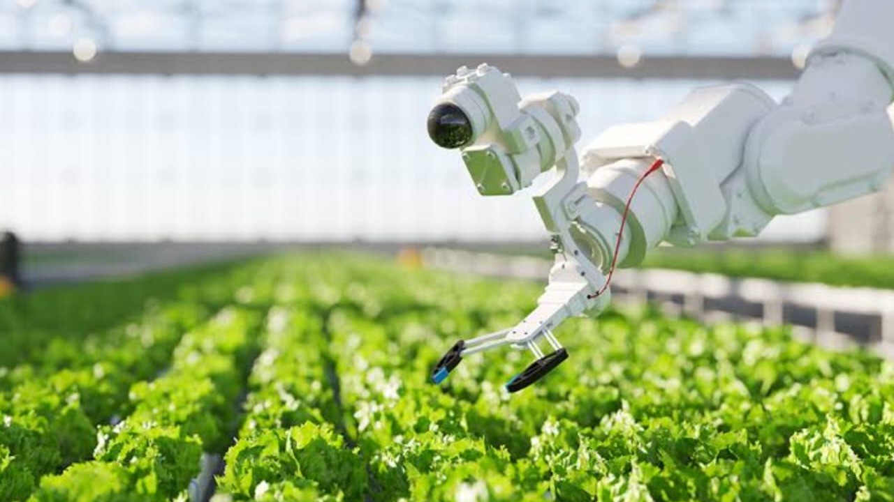 How To Optimize Hydroponic Ac, Filtration & Co2