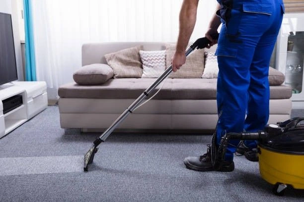Easy Carpet Cleaning Services: Best Results Guaranteed