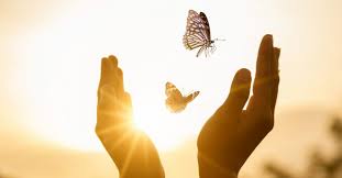 Transform Your Life: Expert Spirituality Guide